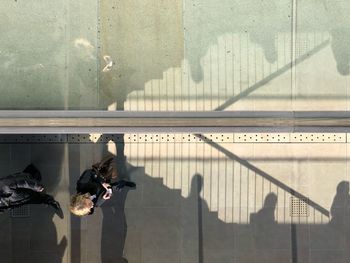 Reflection of man photographing on railing against wall