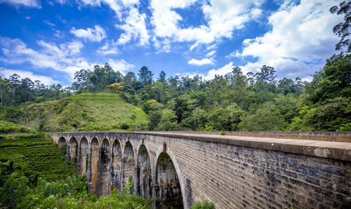 Arch bridge in forest against sky