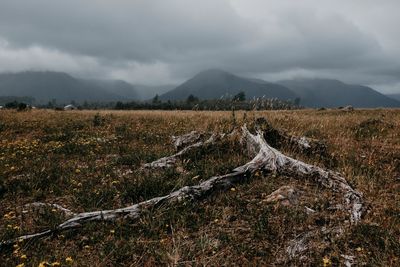 Scenic view of land against sky