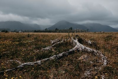 Scenic view of land against sky