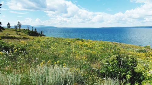 Scenic view of sea against sky