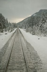 Surface level of railroad tracks on snow covered landscape