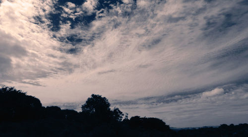 Silhouette of trees against cloudy sky