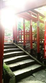 Sun shining through trees