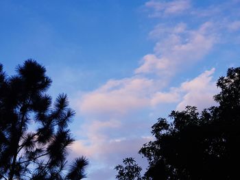 Low angle view of silhouette trees against blue sky