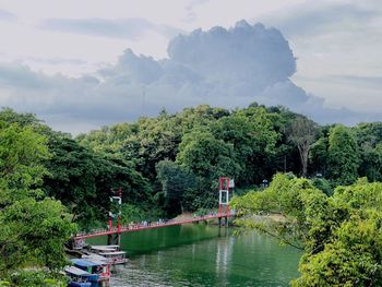 Scenic view of river by trees against sky