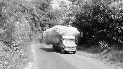 Car on field against trees