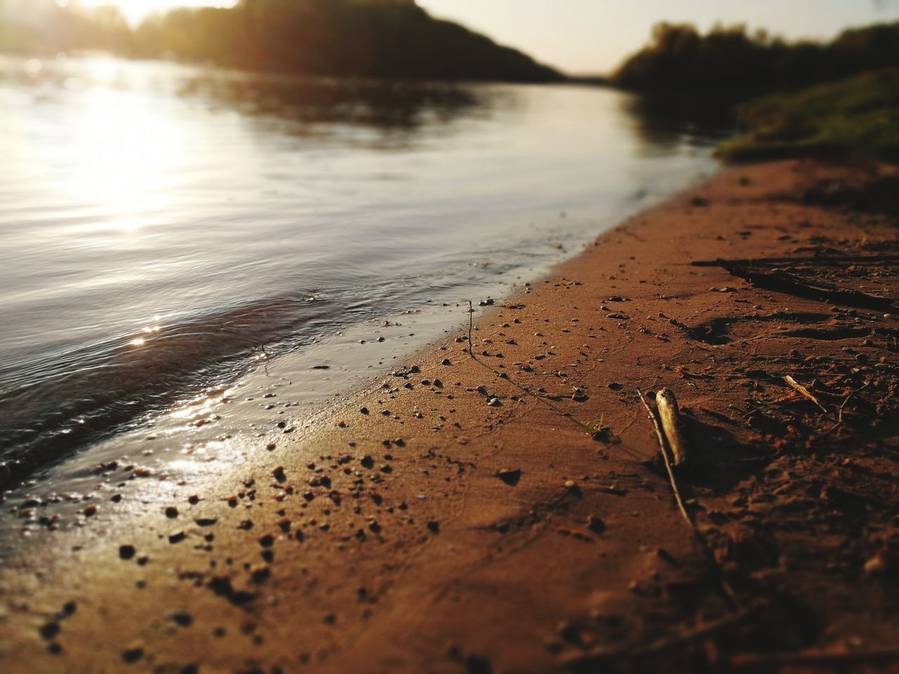 water, selective focus, nature, land, beach, no people, tranquility, beauty in nature, outdoors, day, close-up, surface level, dirt, tranquil scene, wet, reflection, scenics - nature, sky, lake, messy, mud, pollution