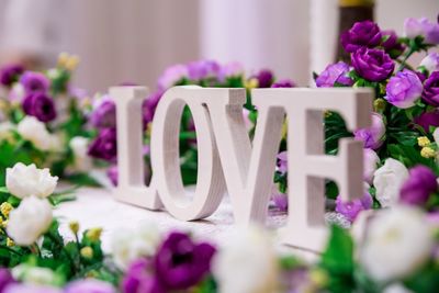 Close-up of pink flowers on table