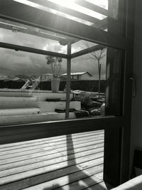 View of tree against sky