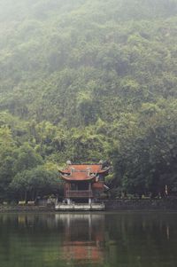 Shrine at the bottom of the mountain on a foggy day