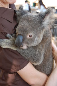 Close-up of hand holding hat