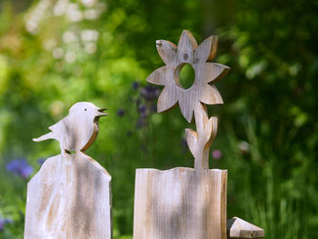 Close-up of bird perching on wooden post