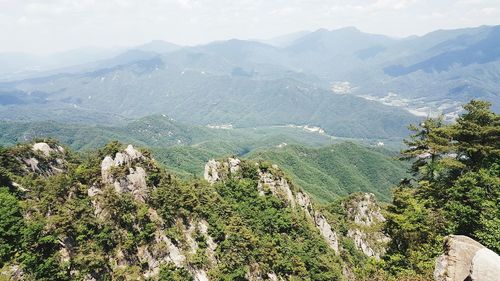 High angle view of trees and mountains against sky