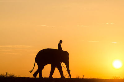 Silhouette man riding horse at sunset