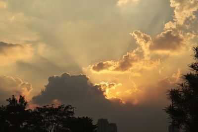 Low angle view of silhouette trees against sky during sunset