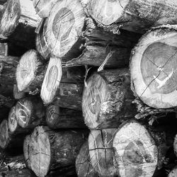 Full frame shot of logs