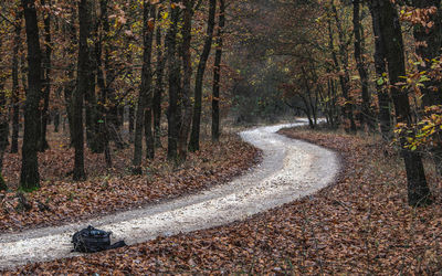 Road amidst trees in forest during autumn