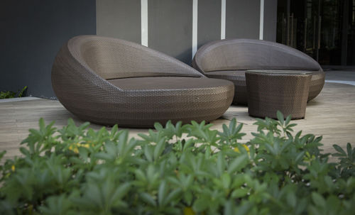 Close-up of empty chairs against plants