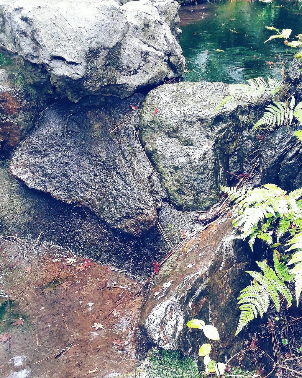 textured, rock - object, high angle view, nature, tree, rock formation, day, rough, outdoors, sunlight, no people, rock, sand, tranquility, plant, water, beauty in nature, stone, growth, moss