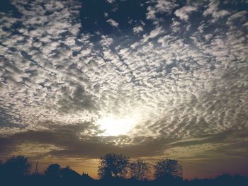 Silhouette of trees at sunset