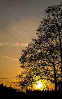 Silhouette tree against orange sky