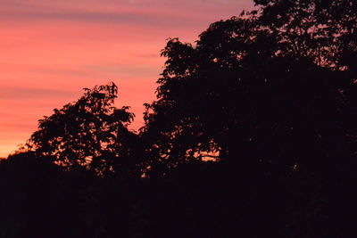 Low angle view of silhouette trees against sky during sunset
