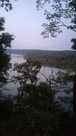 Scenic view of lake and trees in forest