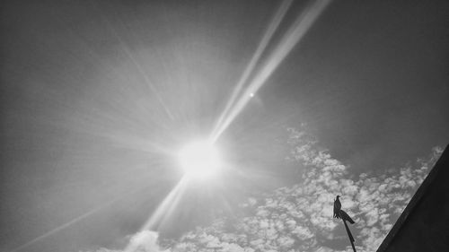 Low angle view of silhouette man against sky