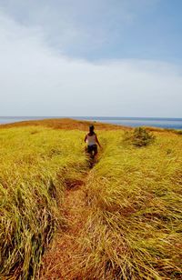 Man sitting on field by sea against sky