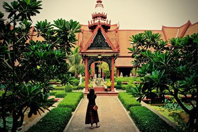 Plants in front of built structure
