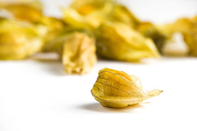 Close-up of fruits against white background