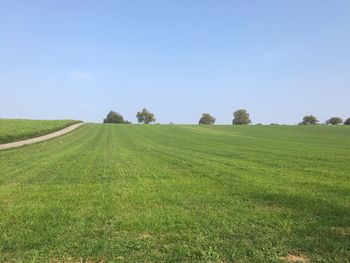 Scenic view of field against clear sky