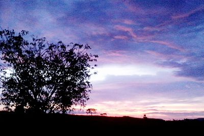 Silhouette of tree against cloudy sky