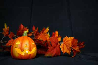 Close-up of pumpkin during autumn