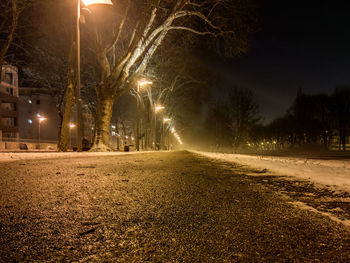 Illuminated street amidst trees in city during winter at night