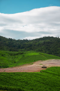 Scenic view of landscape against sky