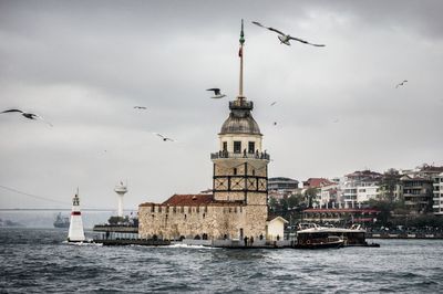 Seagull flying over buildings against sky