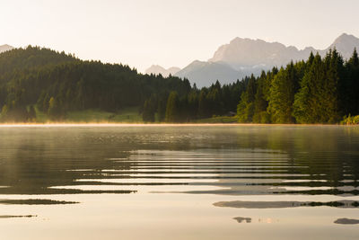 Scenic view of lake by trees against sky