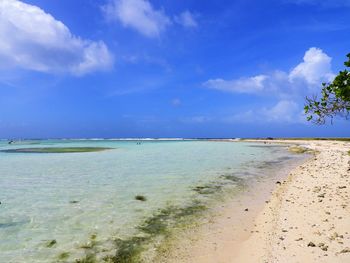 Beach in the caribbean sea, los roques, venezuela