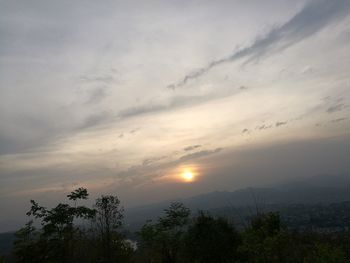 Trees on landscape against sky at sunset