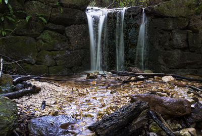 Scenic view of waterfall in forest