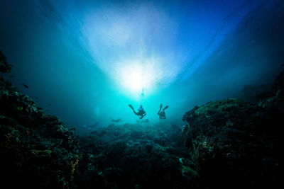 Low angle view of people scuba diving in sea