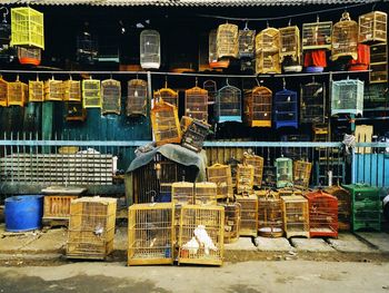 Birds in cage for sale at pasar burung pramuka