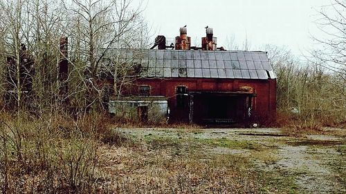 Houses and bare trees against sky