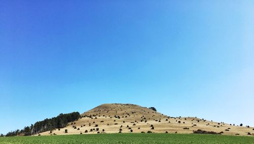 Scenic view of landscape against clear blue sky