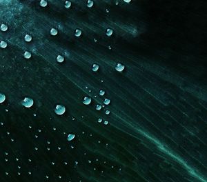 Full frame shot of raindrops on leaf