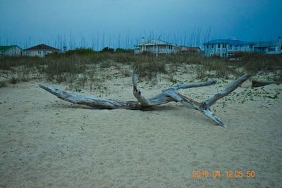 Driftwood on beach against sky