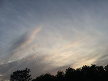 Low angle view of silhouette trees against sky