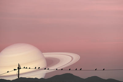 Silhouette birds against sky during sunset